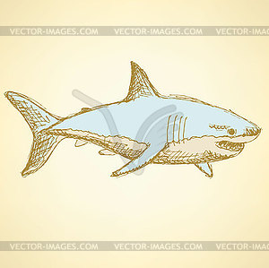 Sketch scary shark in vintage style - vector clipart