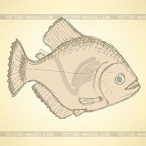 Sketch dangeous piranha in vintage style - vector clip art