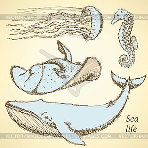 Sketch sea creatures in vintage style - vector EPS clipart