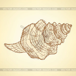 Sketch sea shell in vintage style - vector image