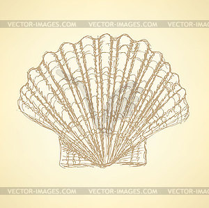 Sketch sea shell in vintage style - vector clip art