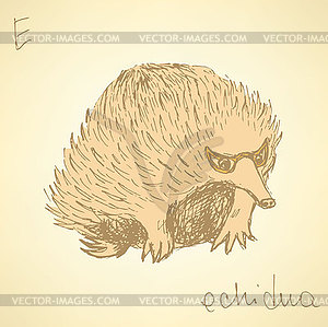 Sketch cute echidna in vintage style - vector image