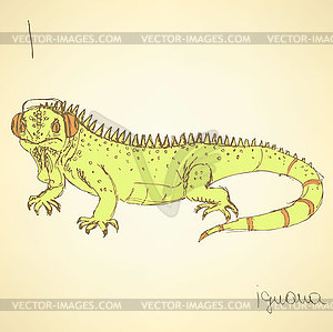 Sketch fancy iguana in vintage style - vector image