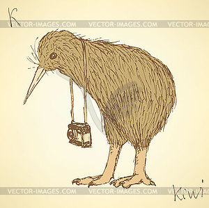 Sketch fancy kiwi bird in vintage style - vector image