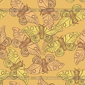 Sketch moth incect in vintage style - vector clip art