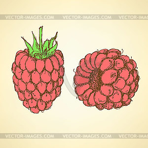 Sketch tasty raspberry in vintage style - vector image