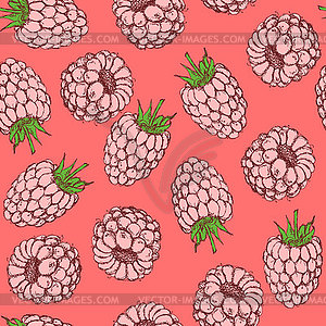 Sketch tasty raspberry in vintage style - vector clipart