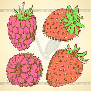 Sketch strawberry and raspberry in vintage style - vector image