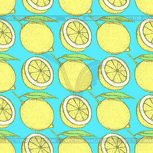 Sketch juicy lemon in vintage style - vector image