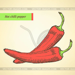 Sketch chilli pepper in vintage style - vector image