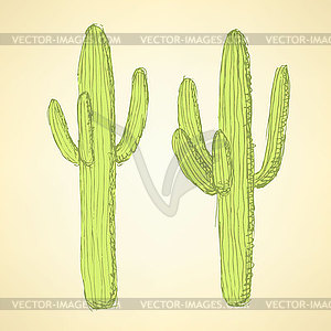 Sketch desert cactus in vintage style - vector image