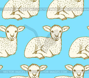 Sketch cute lamb in vintage style - vector clipart