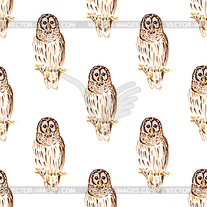 Watercolor cute owl in vintage style - vector clipart