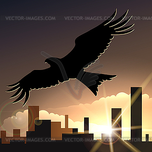 Flying eagle - vector clipart