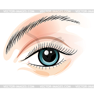 Female eye - vector clipart