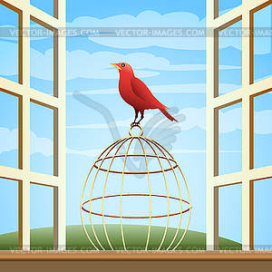 Bird on Cage - vector image