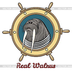 Walrus - vector image