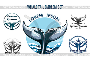 Whalw Tail Set - vector image