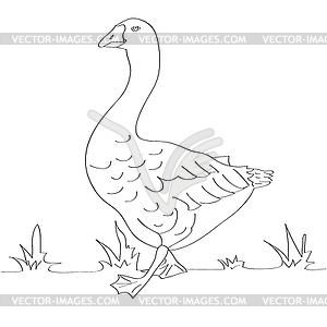 Goose (black and white) - vector clipart