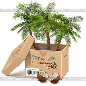 Palm Tree in Box - vector clipart