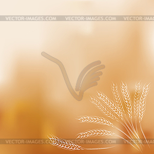 Hand drawing wheat ears on gradient mesh background - vector image