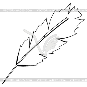 Freehand drawing black bird feather  - vector image