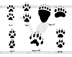 Animal tracks - vector image