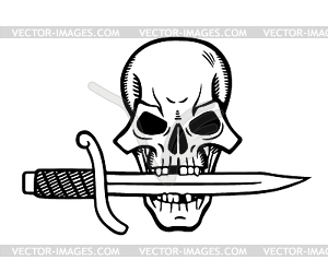 Pirate skull - vector clipart