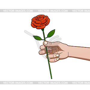 Giving a rose - vector image