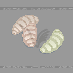 Maggots - vector clipart