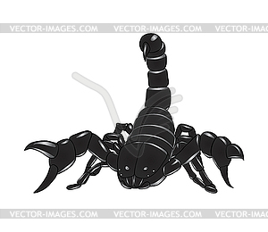 Scorpion - vector image