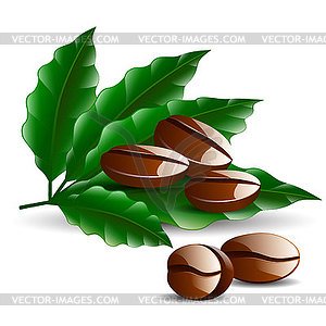 Single coffee bean with leaf - vector image