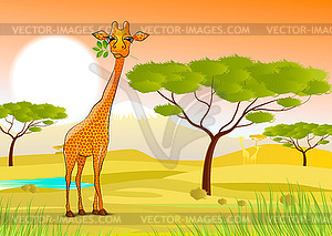 Giraffe eating leaves in Africa at sunset - vector clip art