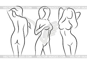 S women naked human beauty body drawing - vector clip art