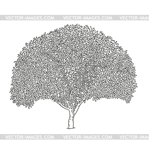 Clump of shrubs - vector image