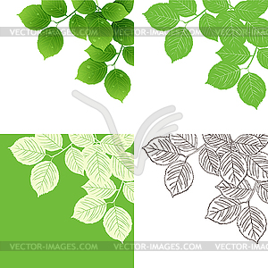 Morning dew on leaves - vector clip art