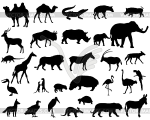 Animals of Africa - vector clip art