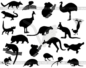 Animals of Australia - vector image