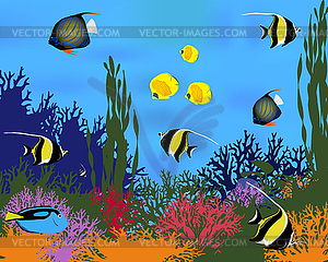 Coral fish  - vector clipart