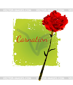 Postcard with picture of flower carnation - vector EPS clipart