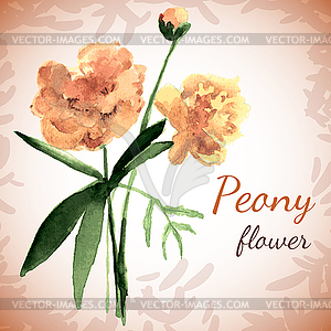 Postcard depicting peony flower - vector clip art