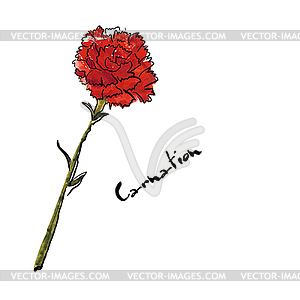 With carnation flower  - vector clip art