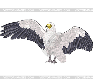Vulture - vector clipart