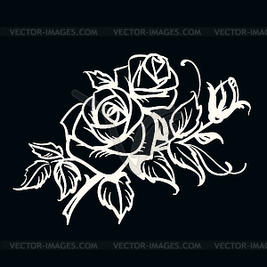 Roses. White outline drawing - vector clipart