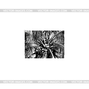 Silhouette of palm trees - vector clip art