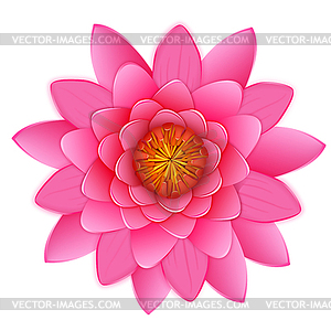 Красивый розовый лотос или водяная лилия цветок - векторное изображение клипарта