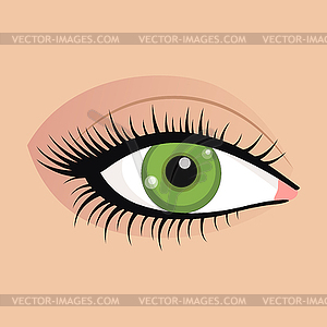 Open female eyes image with beautifully fashion mak - vector clipart