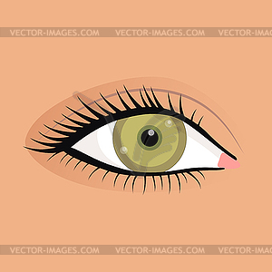 Open female eyes image with beautifully fashion mak - color vector clipart