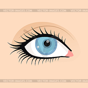 Open female eyes image with beautifully fashion mak - vector image