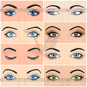 Set of female eyes and brows image with - vector image